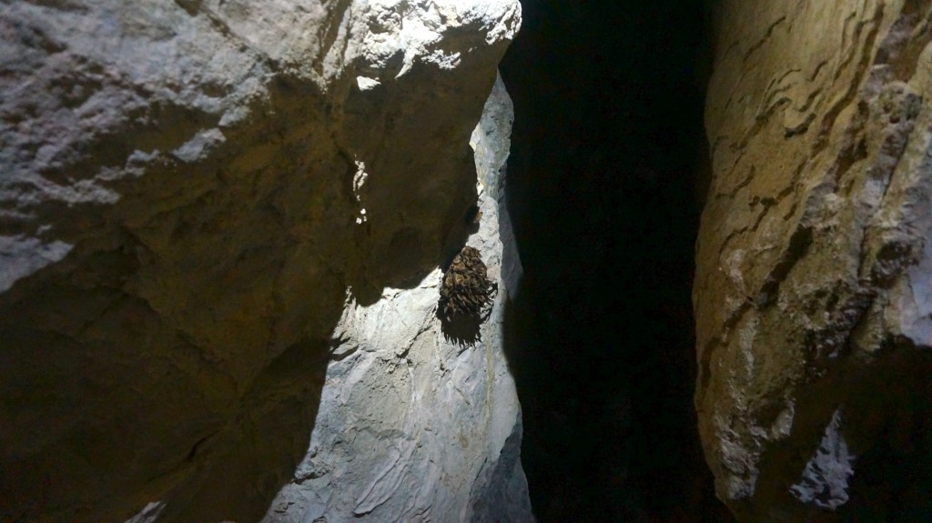 Roadtrip - Lewis and Clark Caverns 3