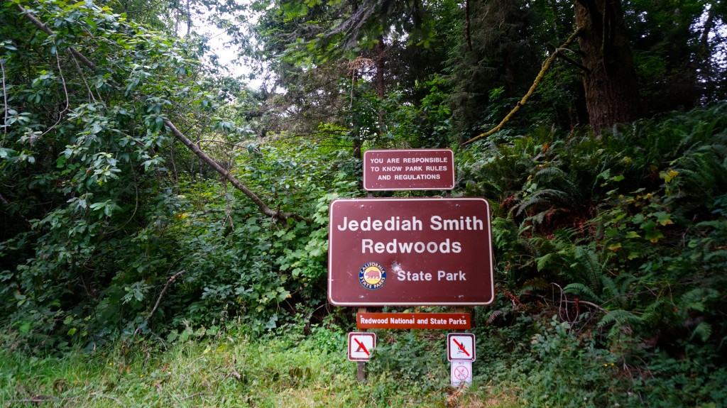 Roadtrip - Jedediah Smith Redwood 1
